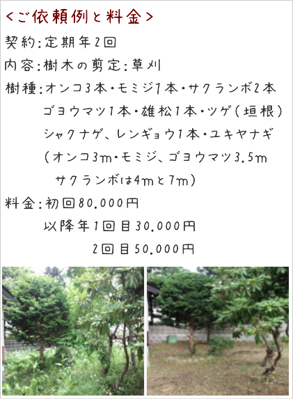札幌市庭木現場料金プラン2