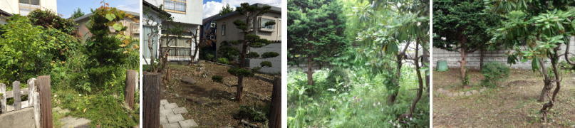 札幌市内草刈・除草現場